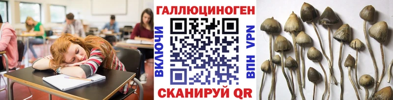 наркота  Темрюк  Псилоцибиновые грибы ЛСД 